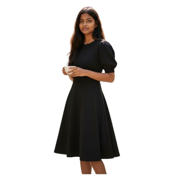 Anne Cole Dresses & Skirts - Ann Taylor Factory Black Puff Sleeve Dress Full Skirt Zip Back Sz 12P Normcore